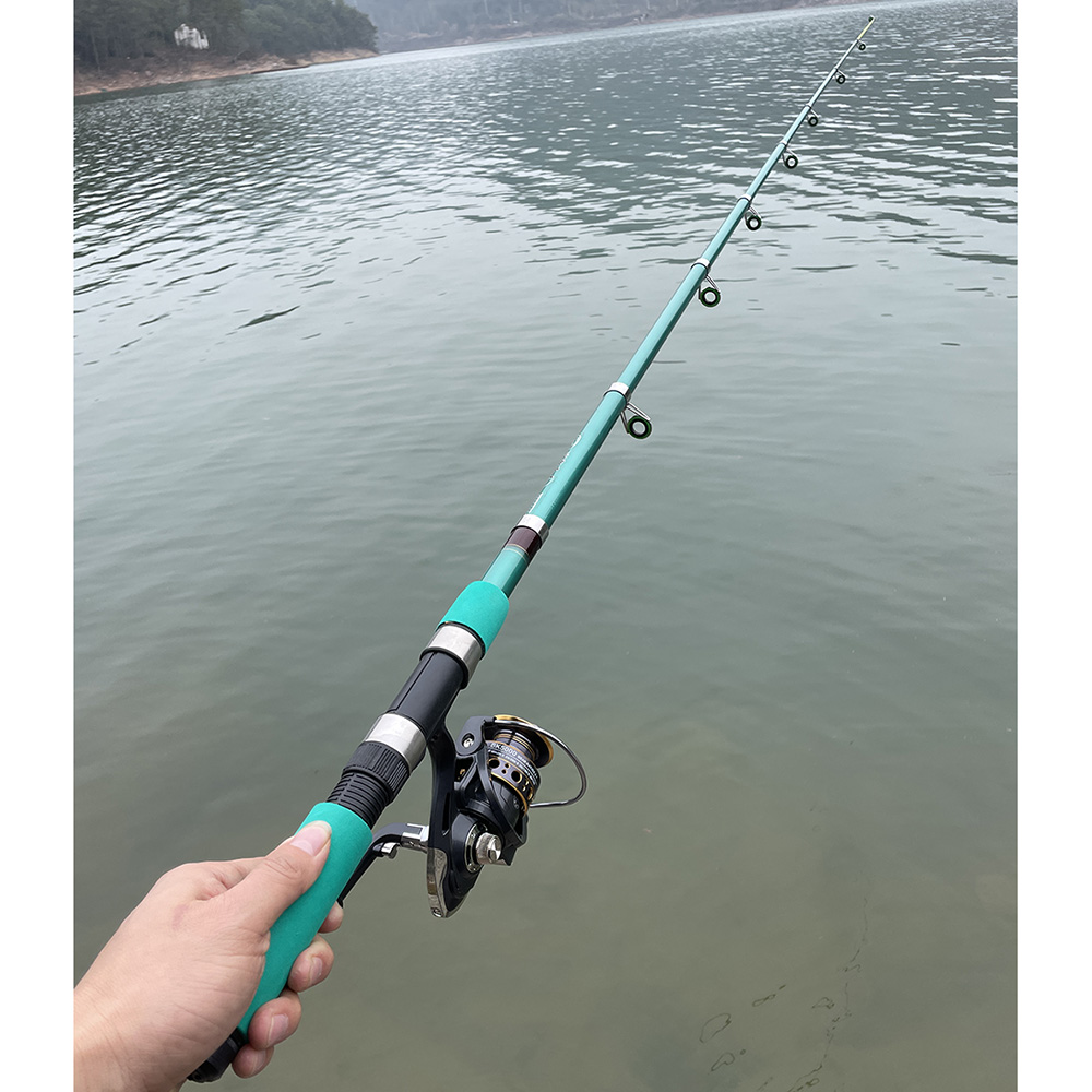Bass Pike Carp Fishing Rod Com - Fishing Equipment Europe review and price
