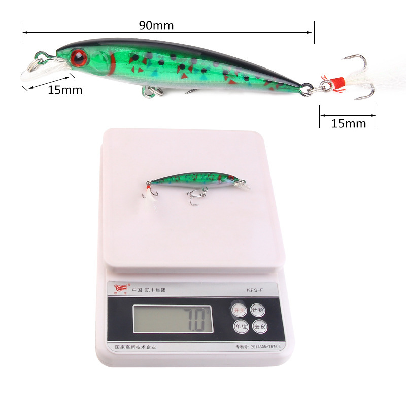 10 Colors Minnow Fishing Lure  - Fishing Equipment Japan review and price
