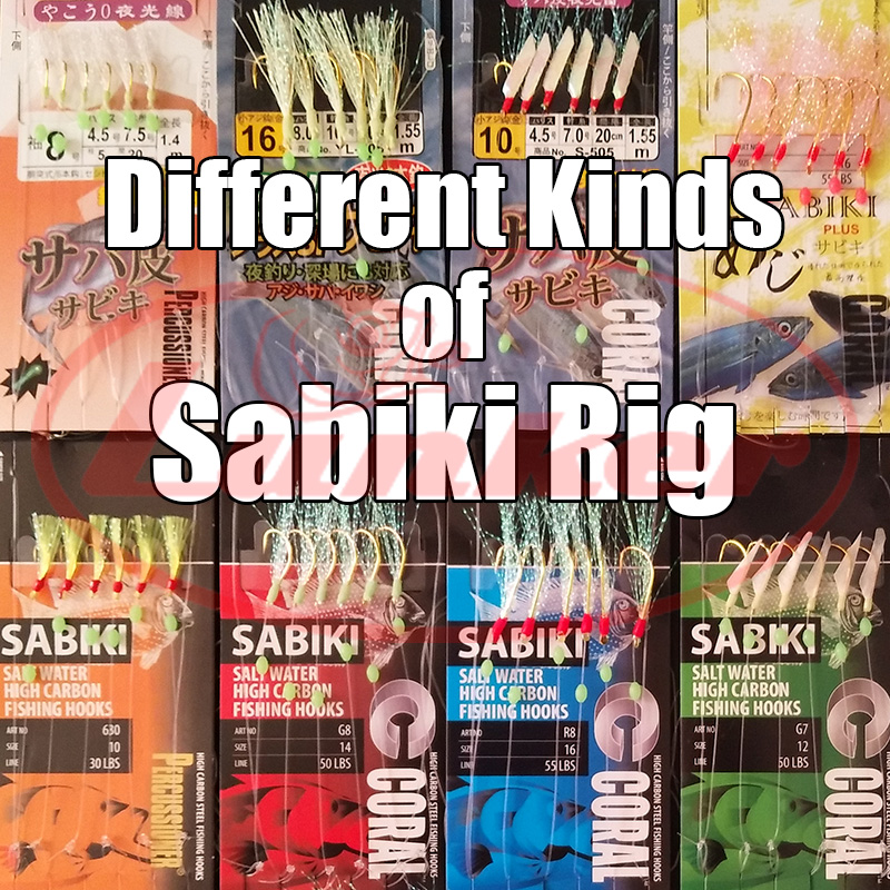 Lunker sabiki rig hooks lumino - Fishing Equipment Deals review and price
